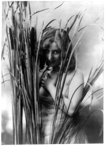 Beauty half concealed LCCN2003671140