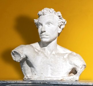 Beaux-Arts de Carcassonne - Bust of Achille Laugé by Bourdelle 1884 58x35