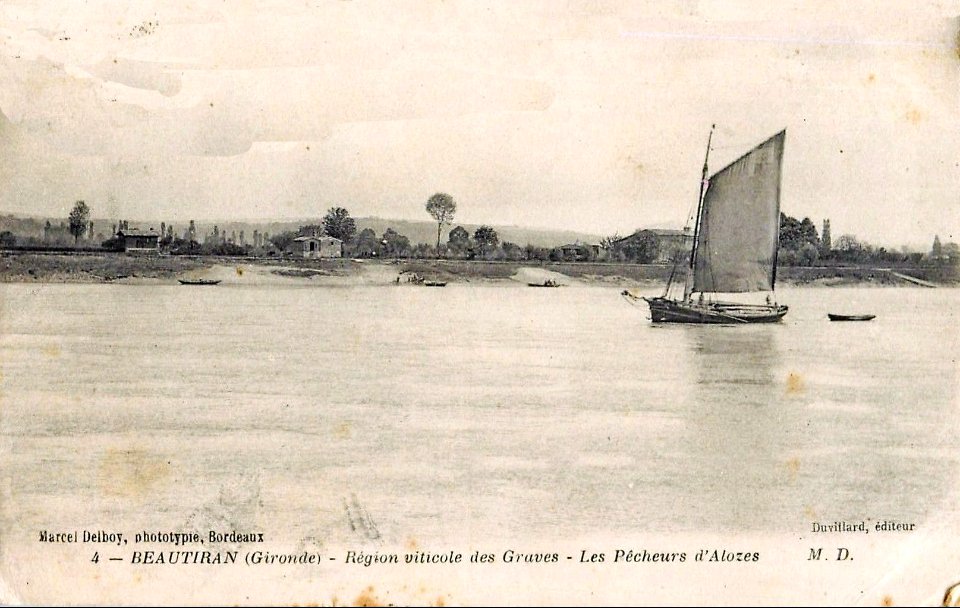 Beautiran - la Garonne 3