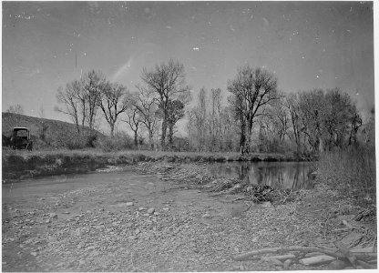 Beaver dam on Henry's Fork. Daggett County, Utah - NARA - 516936