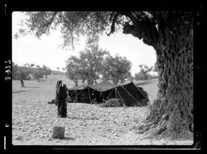 Bedouin tent of the gypsy type near Beit Jibrin LOC matpc.15652