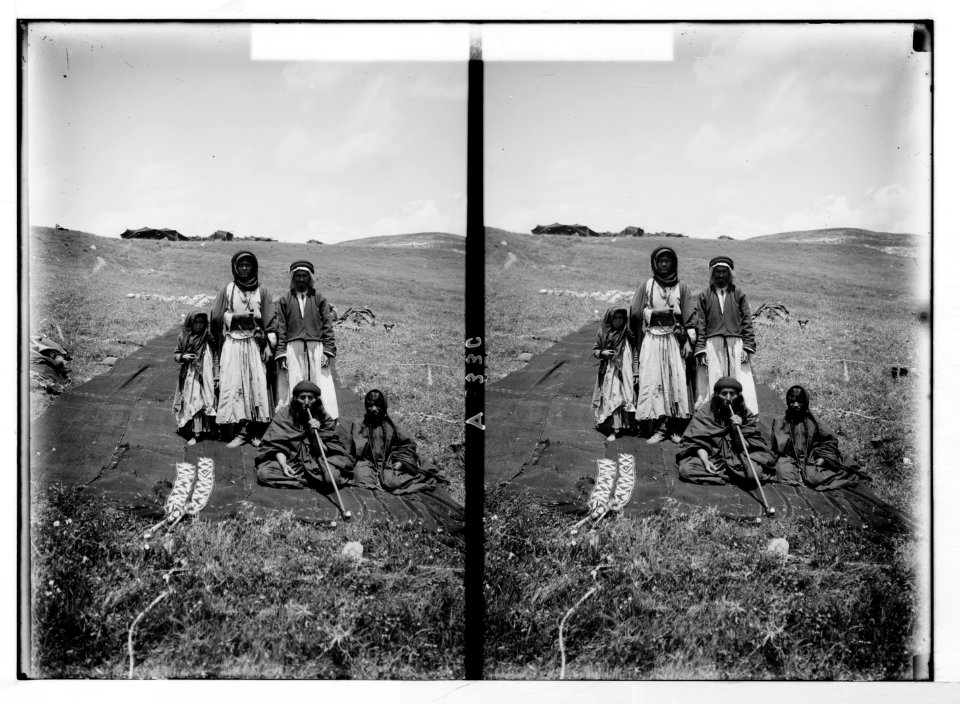 Bedouin wedding series. Bedouin family, ready to raise their tent LOC matpc.05269