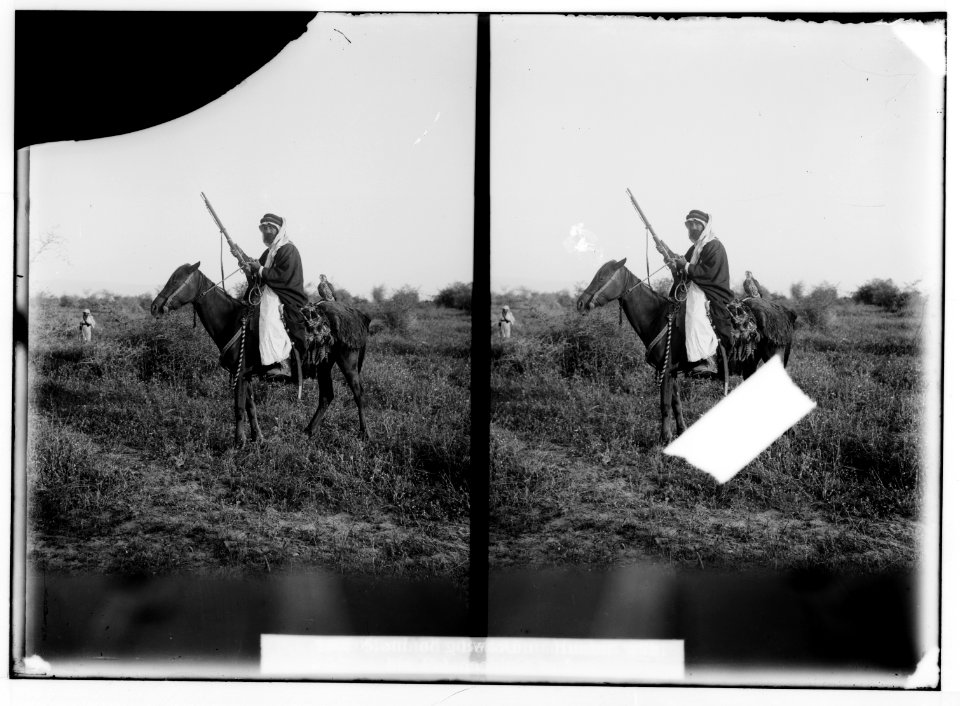 Bedouin wedding series. Bedouin hunter with his falcon LOC matpc.01355