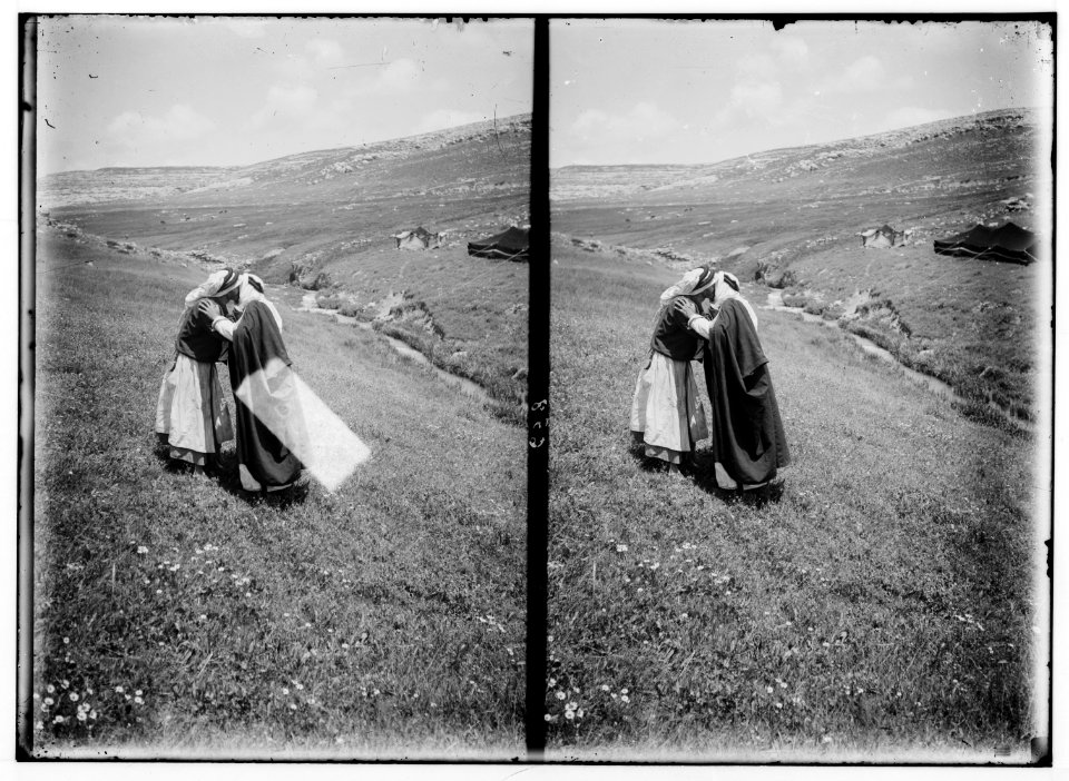 Bedouin wedding series. Bedouin saluting LOC matpc.01346