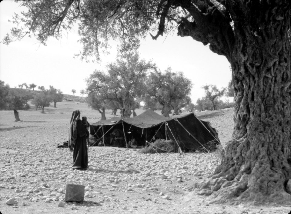Bedouin tent of the gypsy type near Beit Jibrin LOC matpc.15652