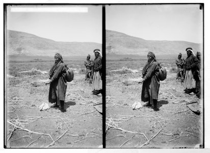 Bedouin wedding series. Bedouin woman with water jar LOC matpc.05274