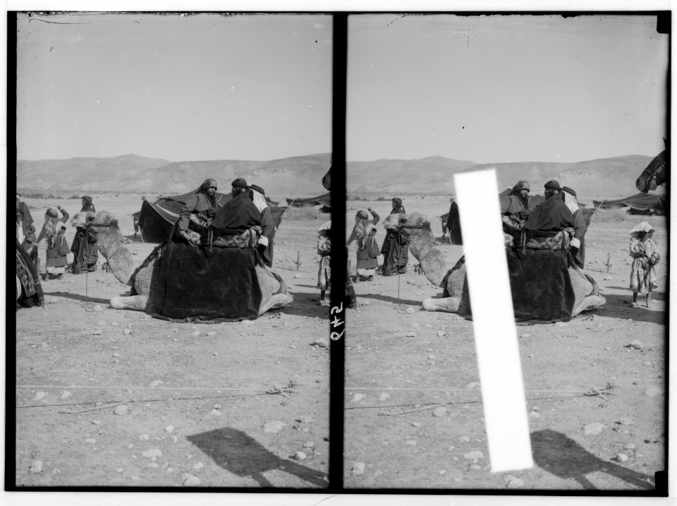 Bedouin wedding series. Bride's-maids on camel LOC matpc.01336
