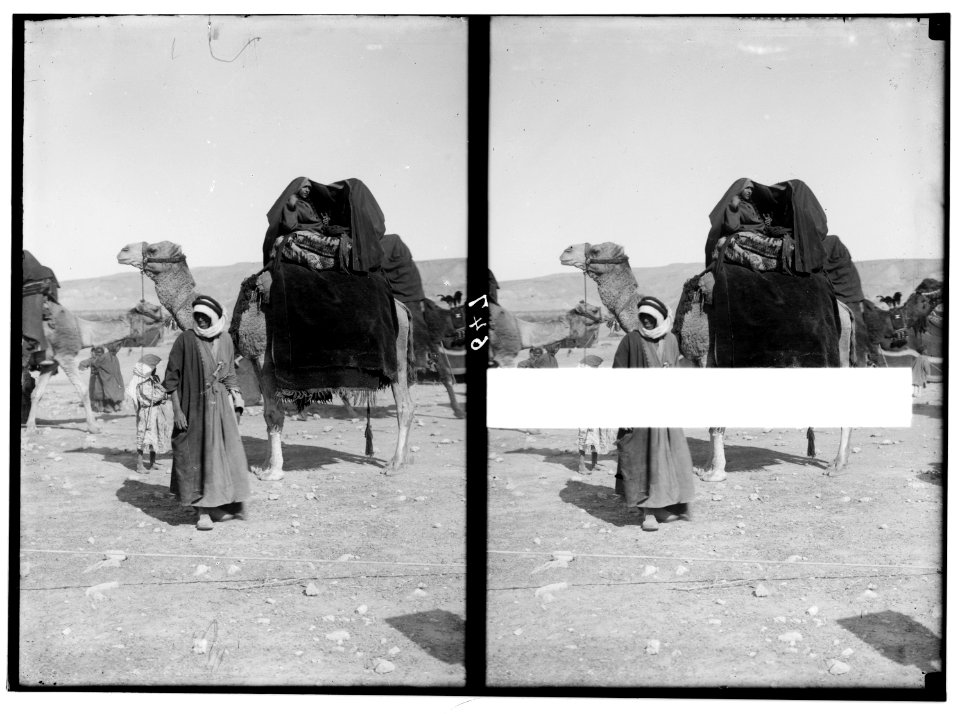 Bedouin wedding series. Bride's-maids on camel covered with 'Aba' LOC matpc.01338
