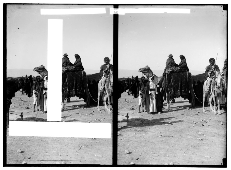 Bedouin wedding series. Bride's-maids on camel LOC matpc.01337