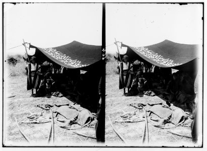 Bedouin wedding series. Drying cheese on tent, and typical Bedouin home-life LOC matpc.01352