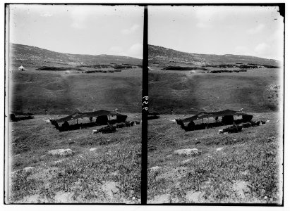 Bedouin wedding series. General view of a Bedouin encampment LOC matpc.01345