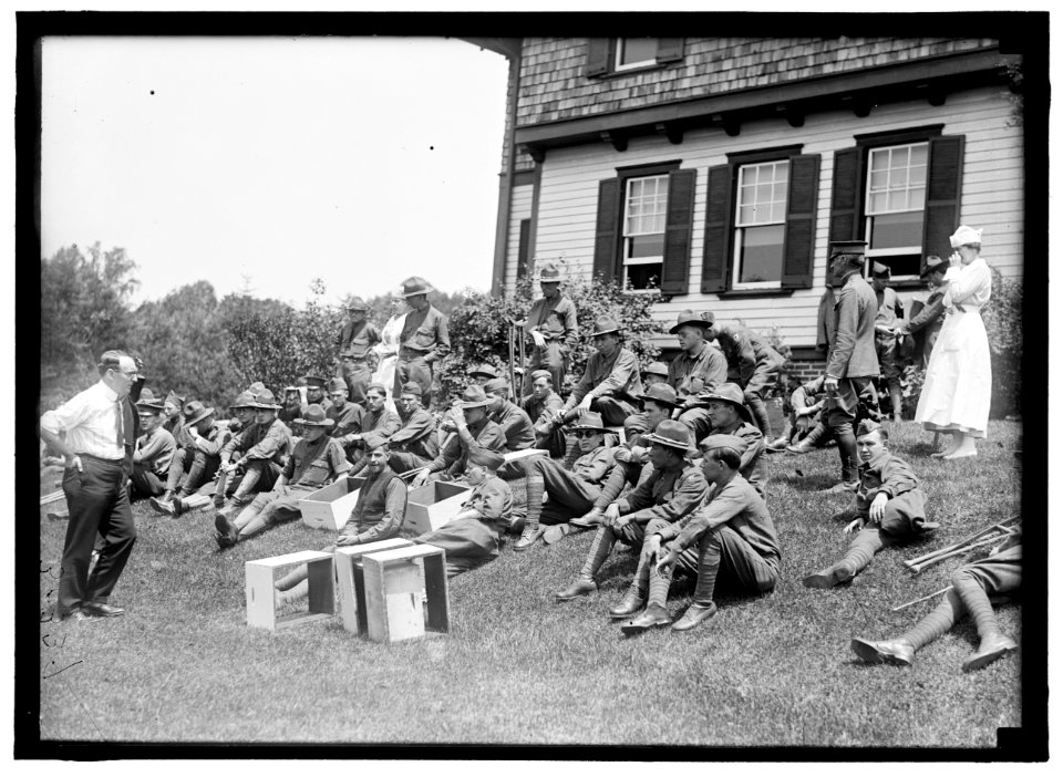 Beekeeping demonstration for injured soldiers LCCN2016869974