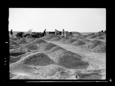 Beersheba and surroundings. (Beer Saba). Beersheba. Bedouin grain deposits. Barley piles covered with straw and earth LOC matpc.15532