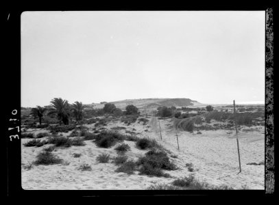 Beersheba and surroundings. (Beer Saba). Trammel nets on seashore. For snaring migratory quails LOC matpc.15535