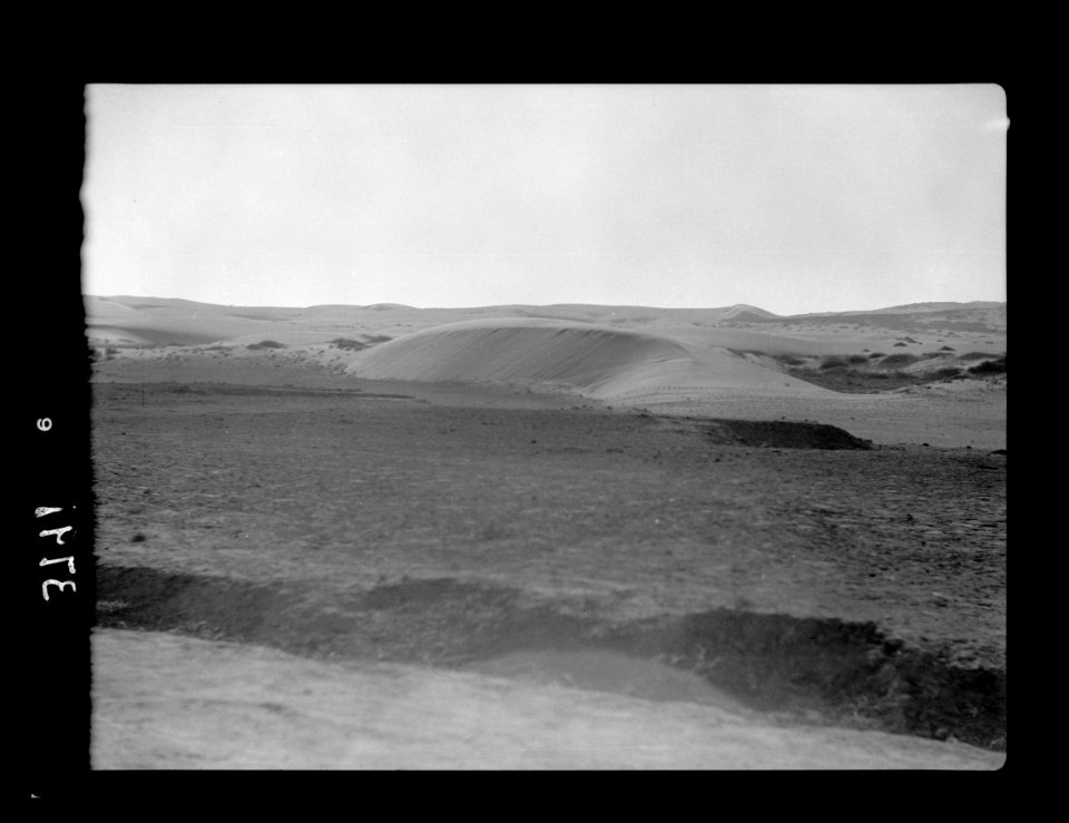 Beersheba and surroundings. (Beer Saba). Shifting sand dunes. Engulfing arable land along the Mediterranean coast LOC matpc.15536