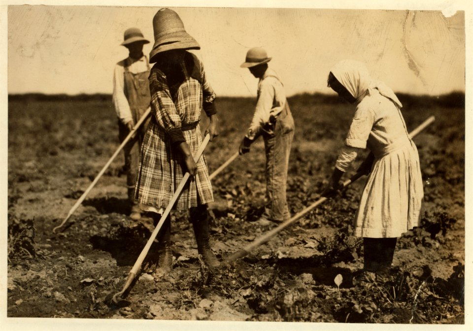 Beet workers, ten years, twelve years, fourteen years and eighteen years, hoeing for father, Jacob Dill, in Sugar City, Colorado. They moved here ten years ago from Southern Russia, work all LOC nclc.00265