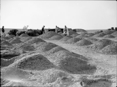 Beersheba and surroundings. (Beer Saba). Beersheba. Bedouin grain deposits. Barley piles covered with straw and earth LOC matpc.15532