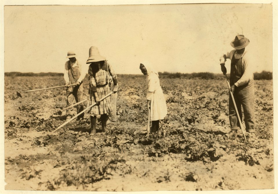 Beet workers, ten years, twelve years, fourteen years and eighteen years, hoeing for father, Jacob Dill, in Sugar City, Colorado. They moved here ten years ago from Southern Russia, work all LOC nclc.00264