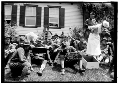 Beekeeping instruction for injured soldiers LCCN2016869979