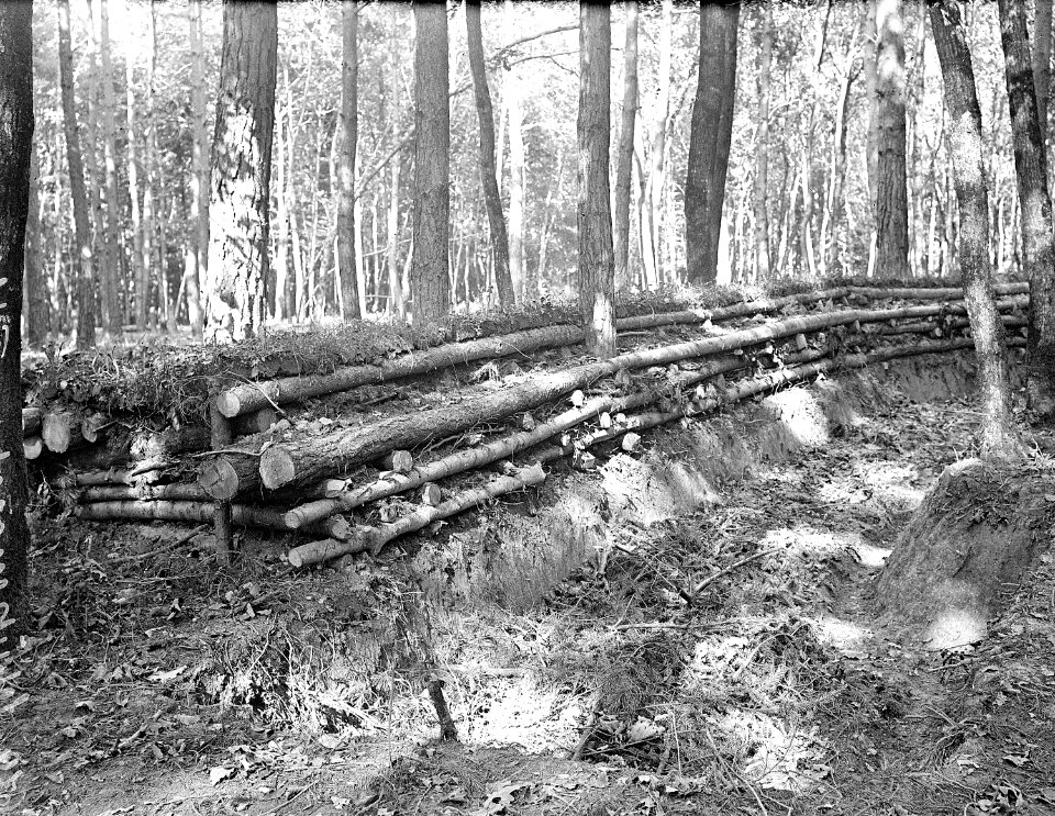 Befestigung im Wald - CH-BAR - 3236526