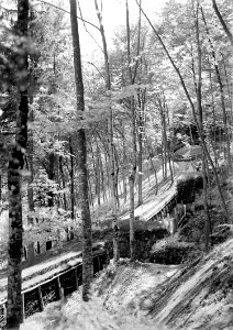 Befestigungsanlagen im Wald - CH-BAR - 3238683