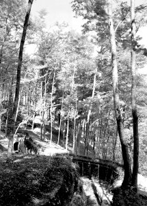 Befestigungsanlagen im Wald - CH-BAR - 3238684