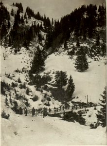 Beförderung von Brettern auf die Straniger Alm. (BildID 15469383)
