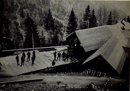 Beförderung eines 14m langen Mastes auf der Seilbahn Malga Strino. (BildID 15583283)