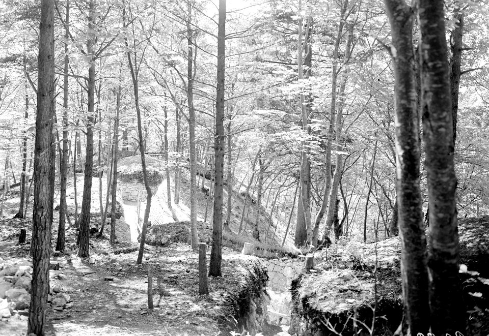 Befestigungsanlagen im Wald - CH-BAR - 3238682