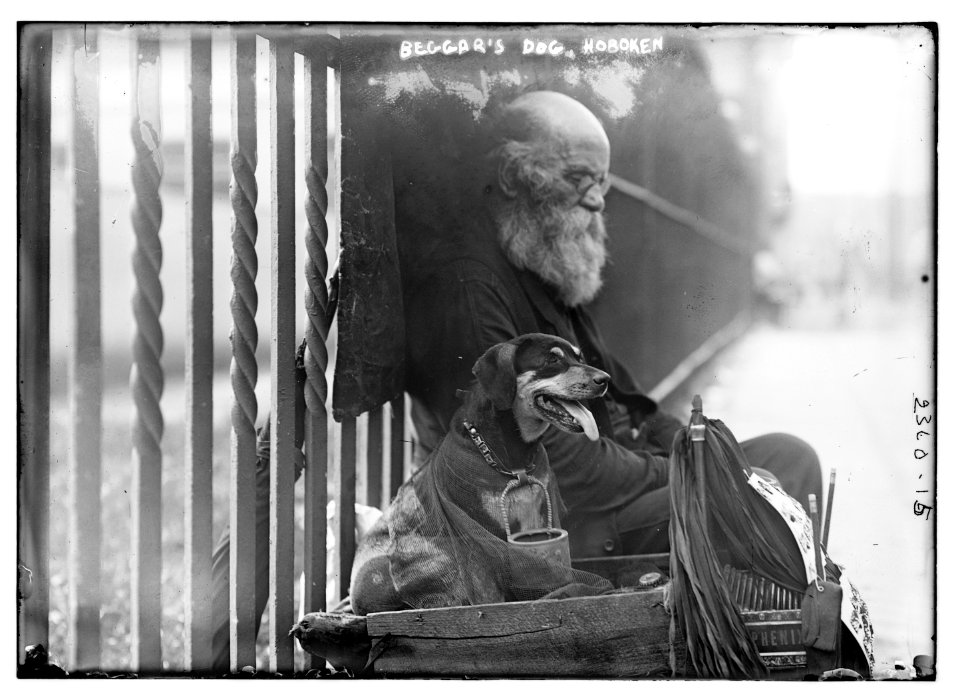 Beggar's dog - Hoboken LCCN2014690074