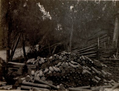 Bei Grigno. Erbeutete italienische 87mm Granaten am Wege nach Grigno. (BildID 15636246)