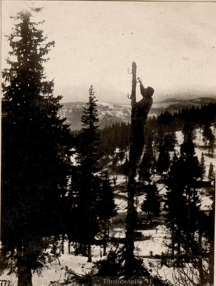 Bei Monte Erio. Legen einer Feldtelephonleitung. (BildID 15635773)