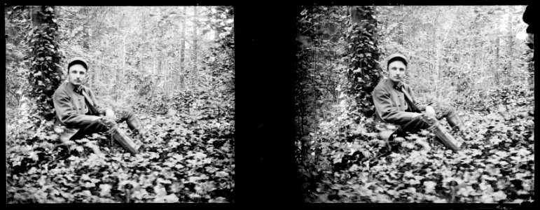 Behonne. Sous-bois. R. Berthelé - Fonds Berthelé - 49Fi349