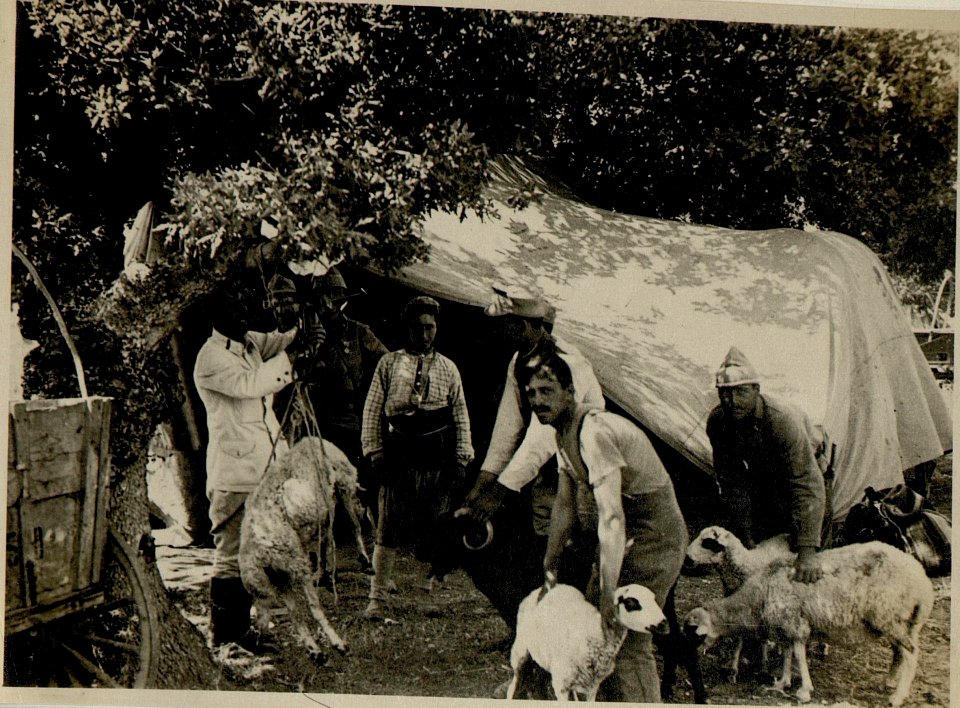 Beim Hammelkauf (BildID 15545721)
