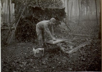 Beim Waschen (BildID 15651642)