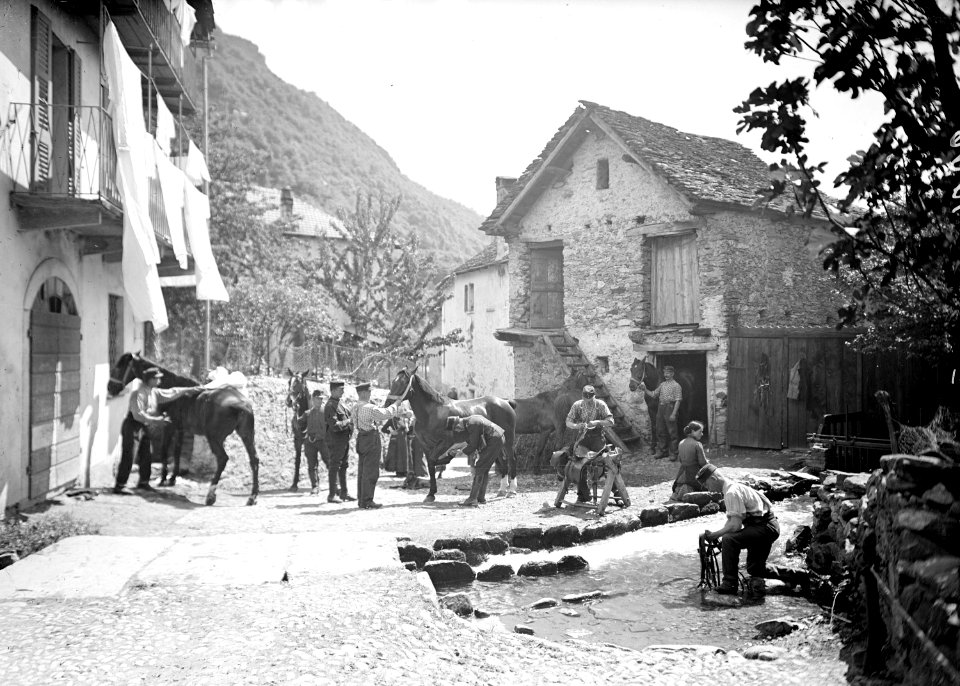 Bei der Pflege der Pferde - CH-BAR - 3238595