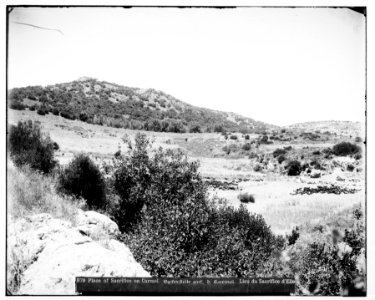 Beirut, etc. Place of sacrifice on Mt. Carmel LOC matpc.07137