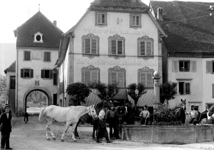 Beim Tränken der Pferde - CH-BAR - 3238677