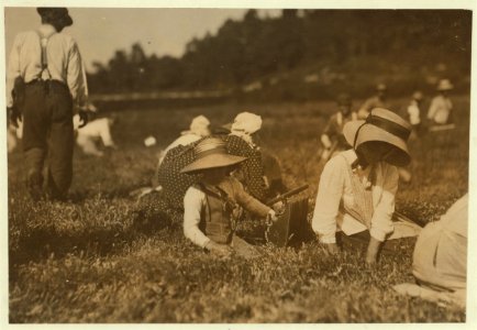Belford Coldos, 27 Cannon St., New Bedford, Mass. 8 years old. Picking on Weeks' Bog. LOC nclc.00172