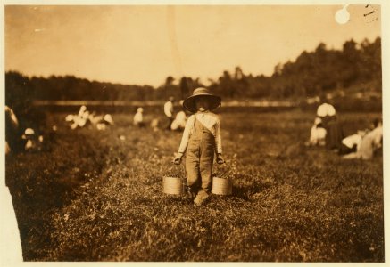 Belford Coldos, 27 Cannon St., New Beford, Mass. 8 years old. Picking on Weeks' Bog. LOC cph.3a20806