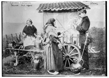Belgian Milk wagon LCCN2014701068