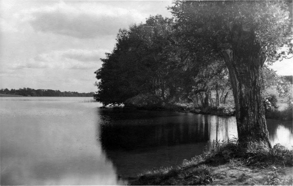 Belauer See bei Perdoel (Kiel 54.314)