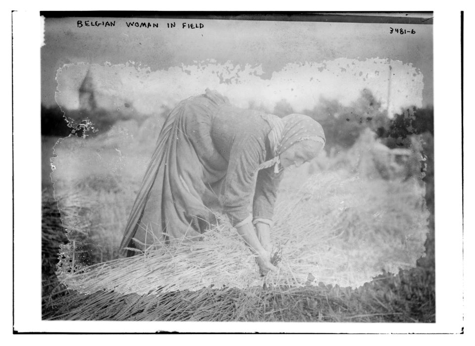 Belgian woman in field LCCN2014699045