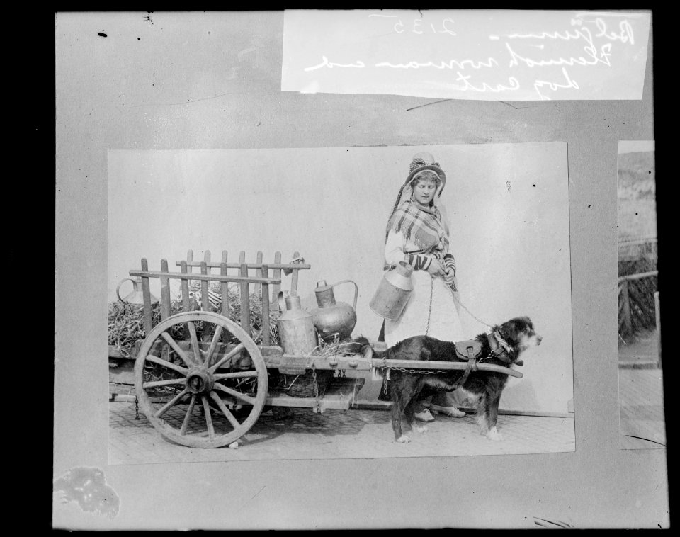 Belgium, Flemish woman and dog cart LCCN2016826207