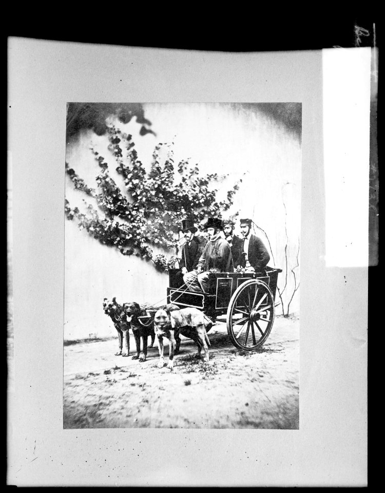 Belgium, peasants with dog cart LCCN2016826209