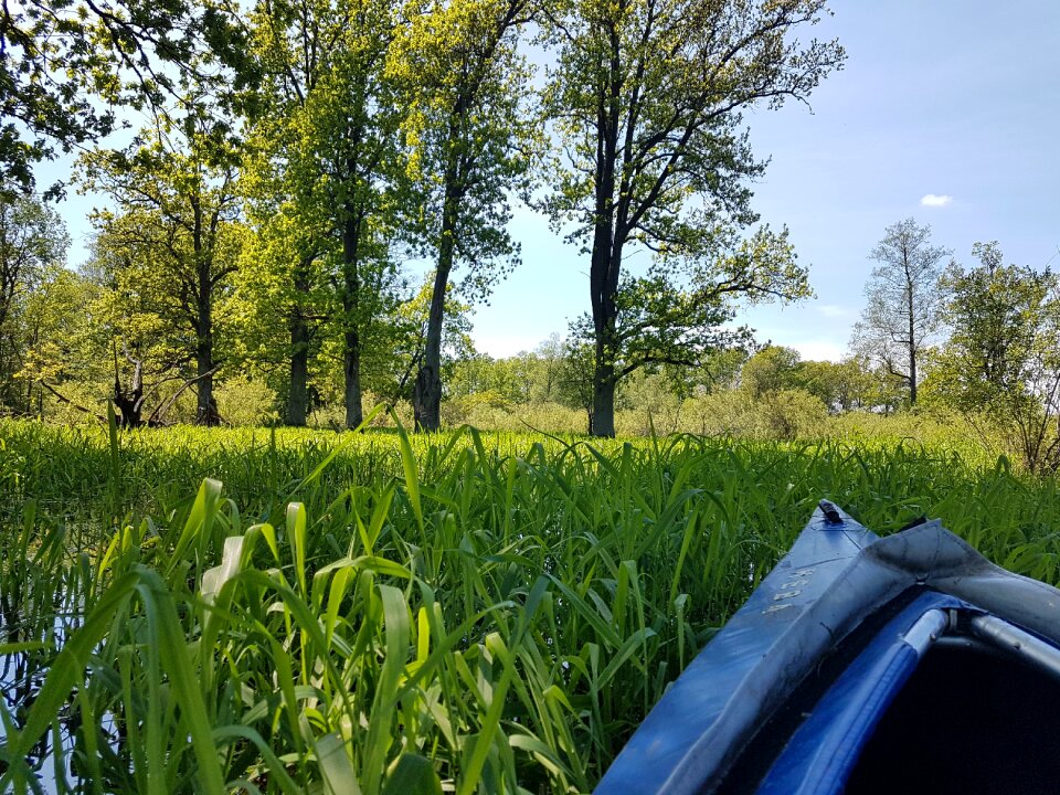 Adventure boat boating