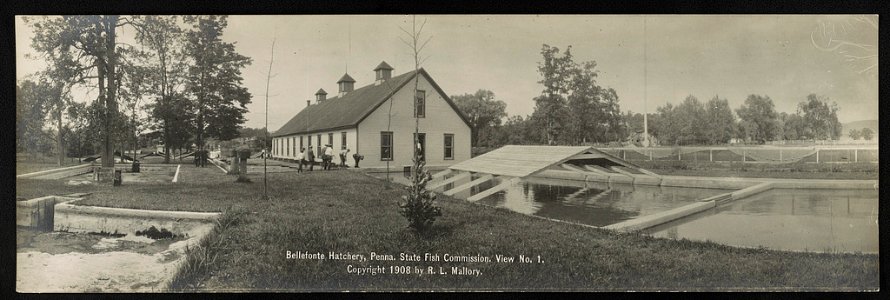 Bellefonte Hatchery, Penna. State Fish Commission. LCCN2013646252