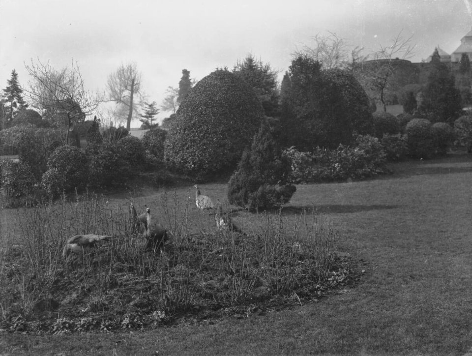 Bellevue Park; Newport (4641370)