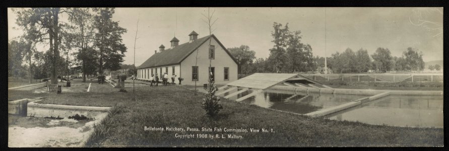 Bellefonte Hatchery, Penna. State Fish Commission. LCCN2013646252