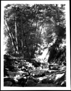 Below the Falls in the Arroyo Seco, near Pasadena, ca.1900 (CHS-4664) photo
